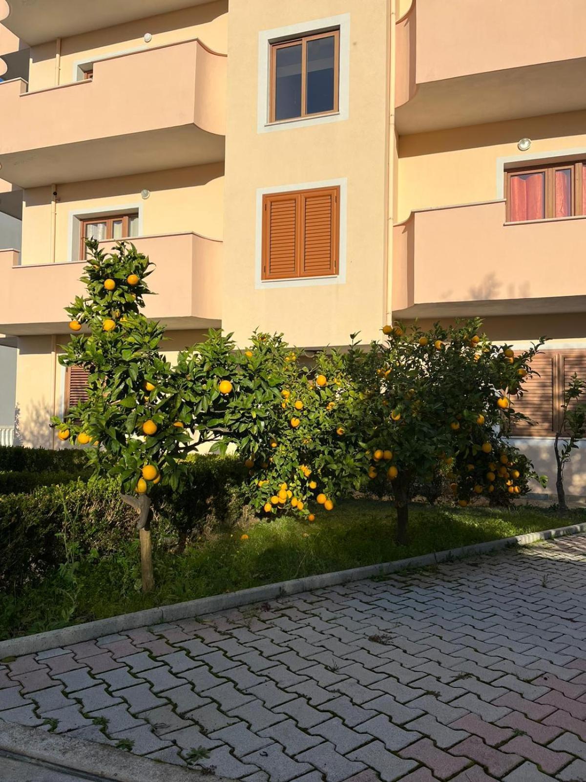 Villa Dei Limoni Škalngur Exterior photo