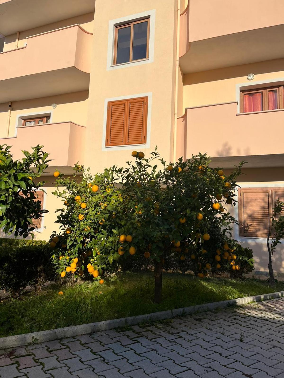 Villa Dei Limoni Škalngur Exterior photo