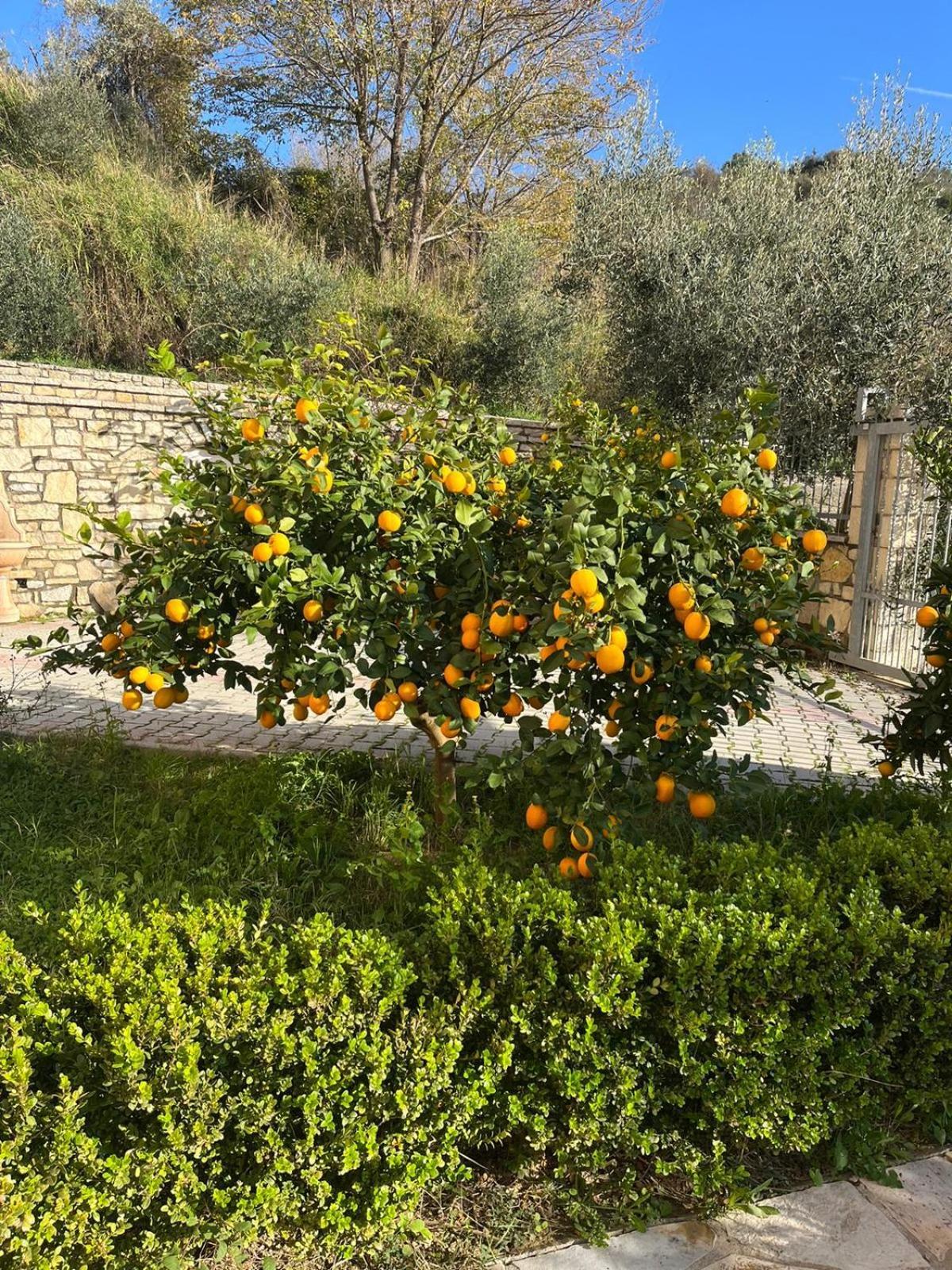 Villa Dei Limoni Škalngur Exterior photo